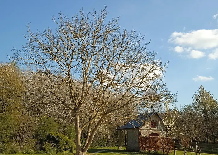 Σπίτι διακοπών Cosy En Foret *